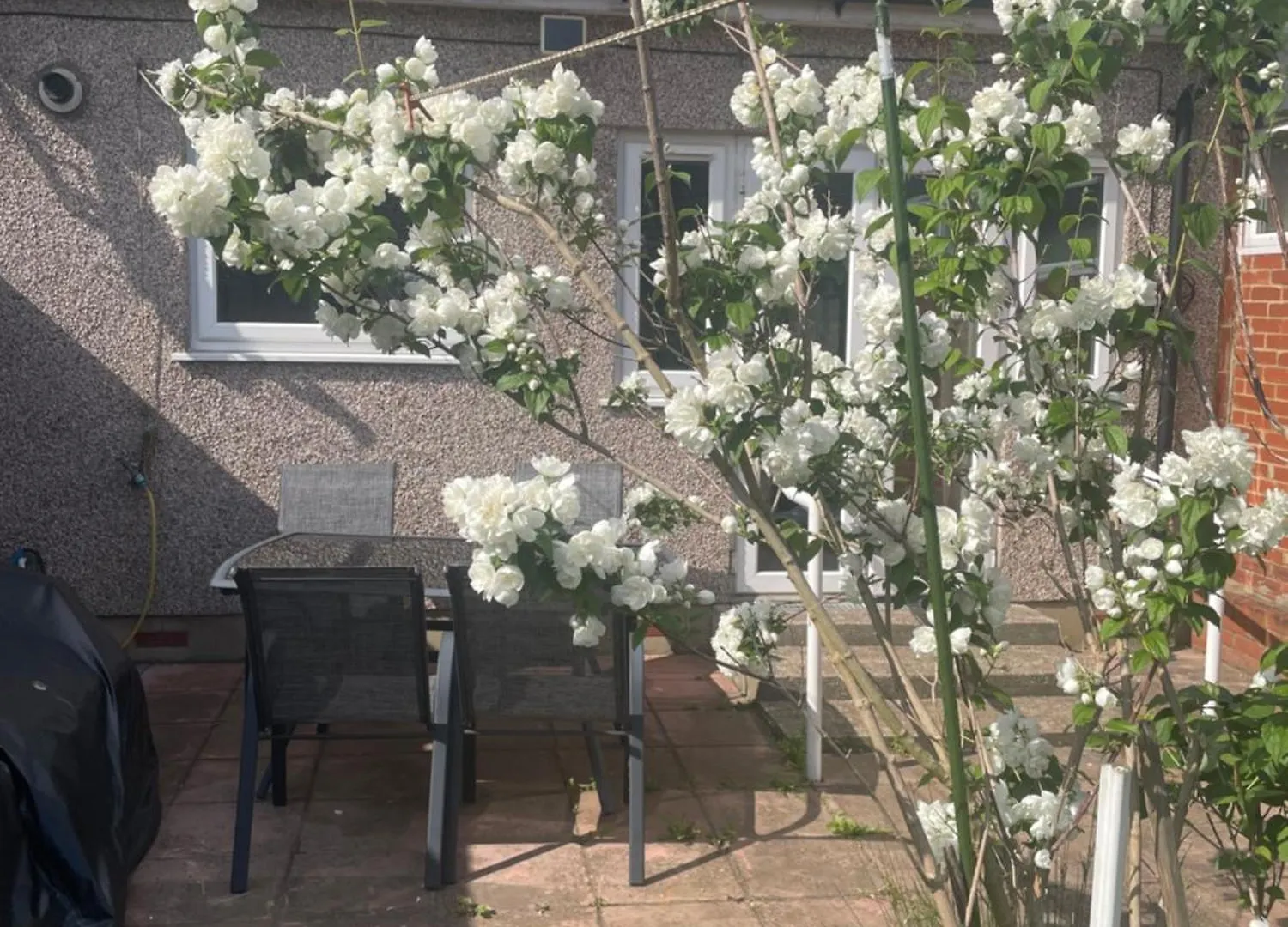 Garden Apartment Nr Heathrow Airport & Elizabeth Line Train Station With Parking For 2 Cars Hayes
